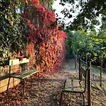Casas Dos Infantes - Farm stay