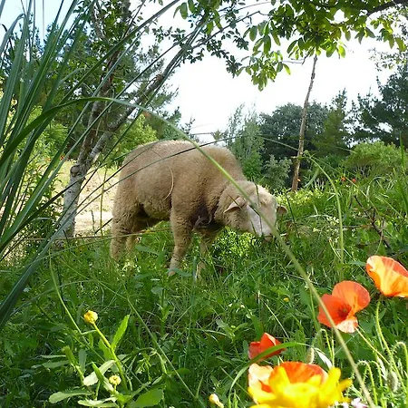 Farma Casas Dos Infantes - Caldas Da Rainha