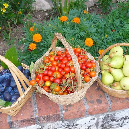 مزرعة للإقامة Casas Dos Infantes -