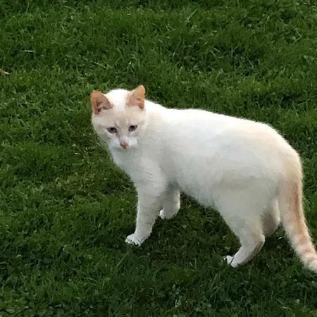Farma Casas Dos Infantes - Caldas Da Rainha