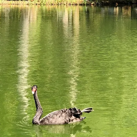 Casas Dos Infantes - * קלדס דה ריינה
