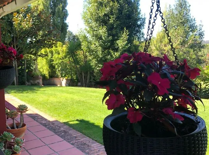 Alojamento de Turismo Rural Casas Dos Infantes -