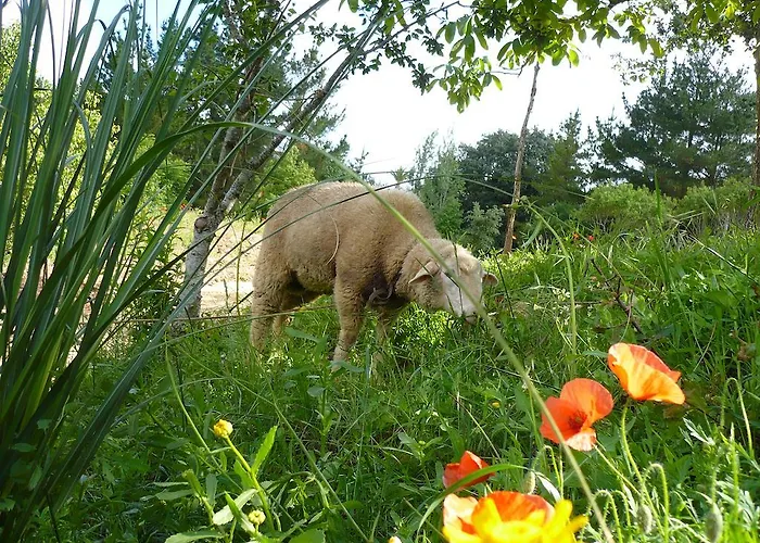 Alojamento de Turismo Rural Casas Dos Infantes - Caldas Da Rainha