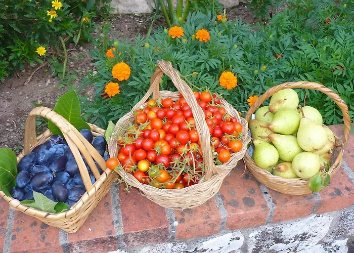 Alojamento de Turismo Rural Casas Dos Infantes -