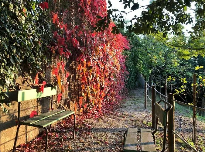 Casas Dos Infantes - Alojamento de Turismo Rural