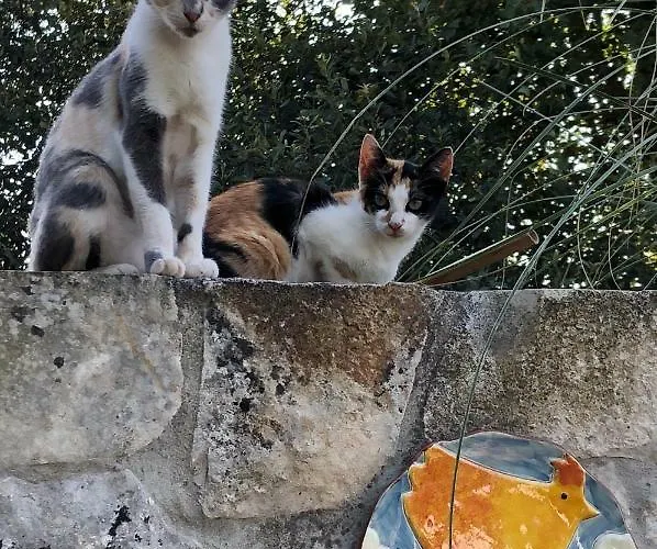 Casas Dos Infantes - * Caldas Da Rainha